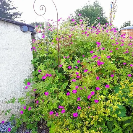 펜션 The Blacksmith's House 리빈